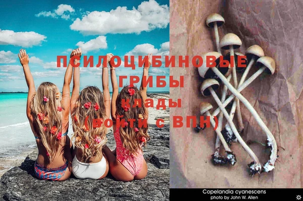 Альфа ПВП Нефтекумск