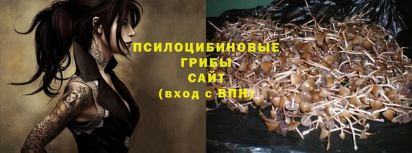 СК Абинск