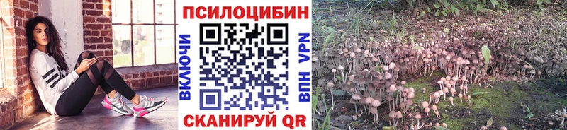 blacksprut ONION  маркетплейс состав  Галлюциногенные грибы Magic Shrooms  купить  сайты  Шумиха 